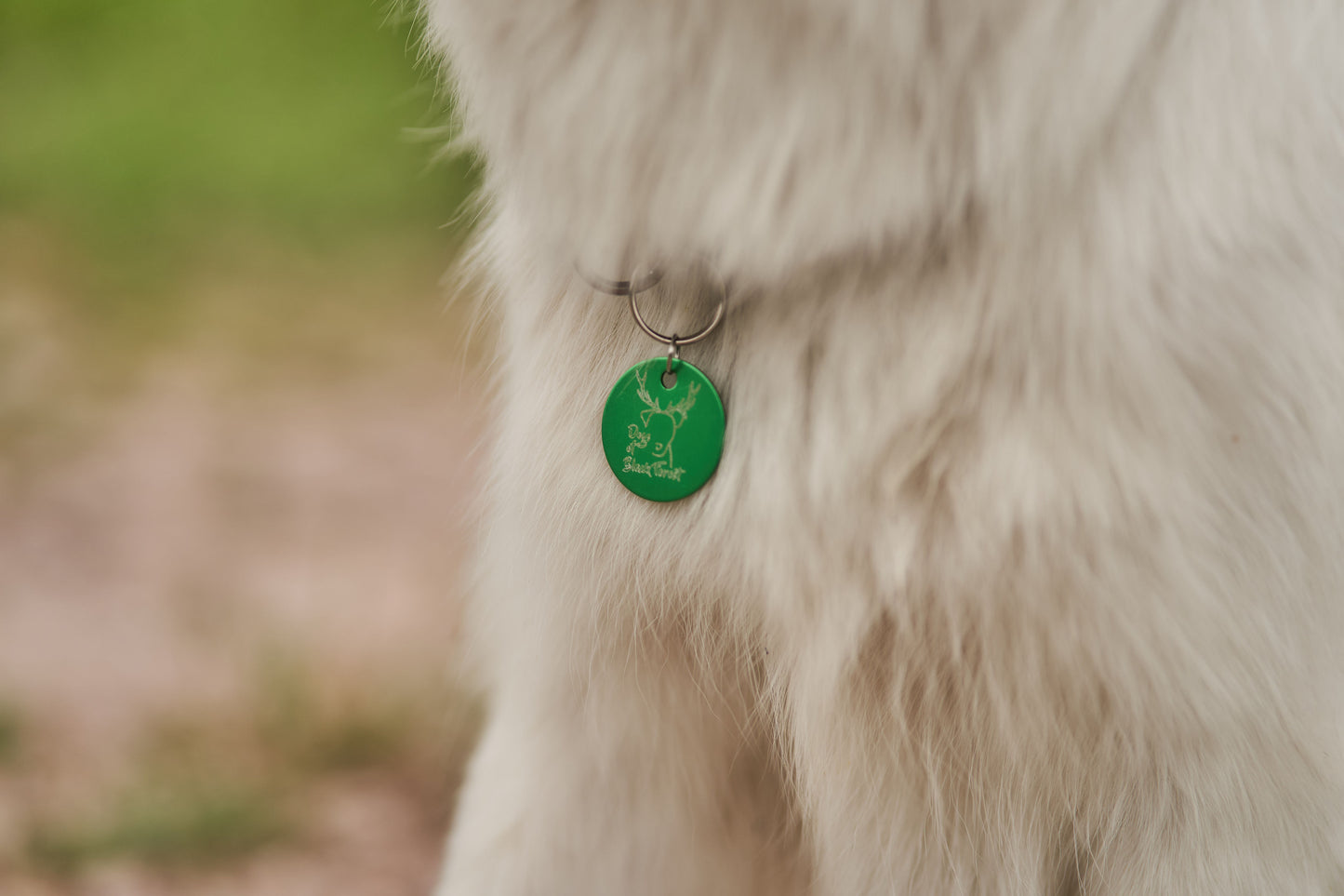 Hundemarke